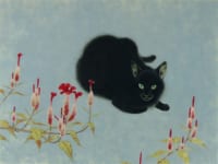 山口華楊