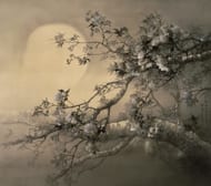 松林桂月