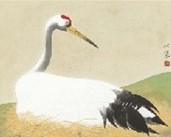 金島桂華