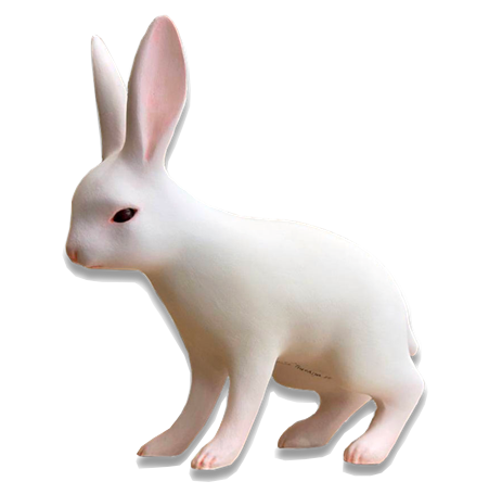 土屋仁応 Rabbit A