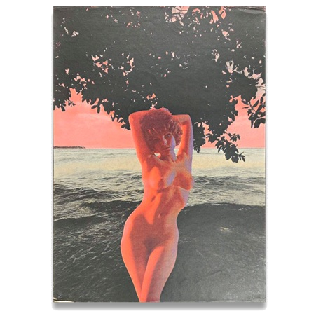 横尾忠則「タヒチの印象 ⅠーA」