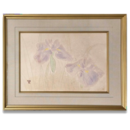 杉山寧「花菖蒲」